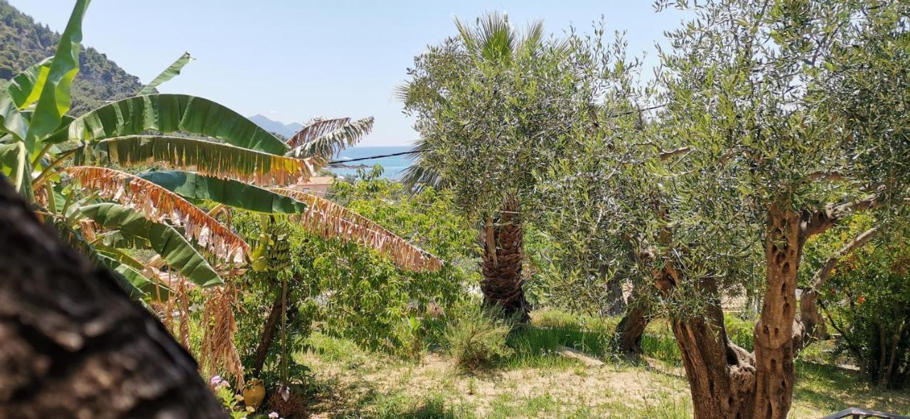 Pelekas Beach Apartments Rolling Stone Bagian luar foto
